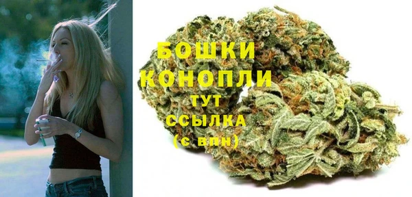 ГАЛЛЮЦИНОГЕННЫЕ ГРИБЫ Вязники