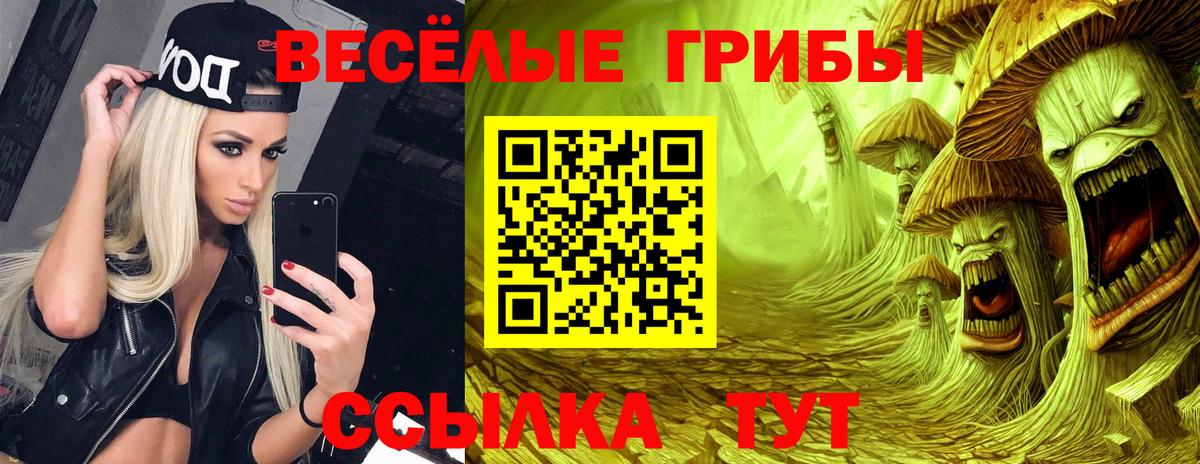 Галлюциногенные грибы Cubensis Назарово